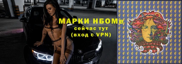 spice Кирсанов
